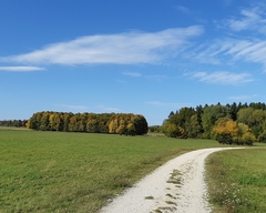 Im Herbst 2019 (18)